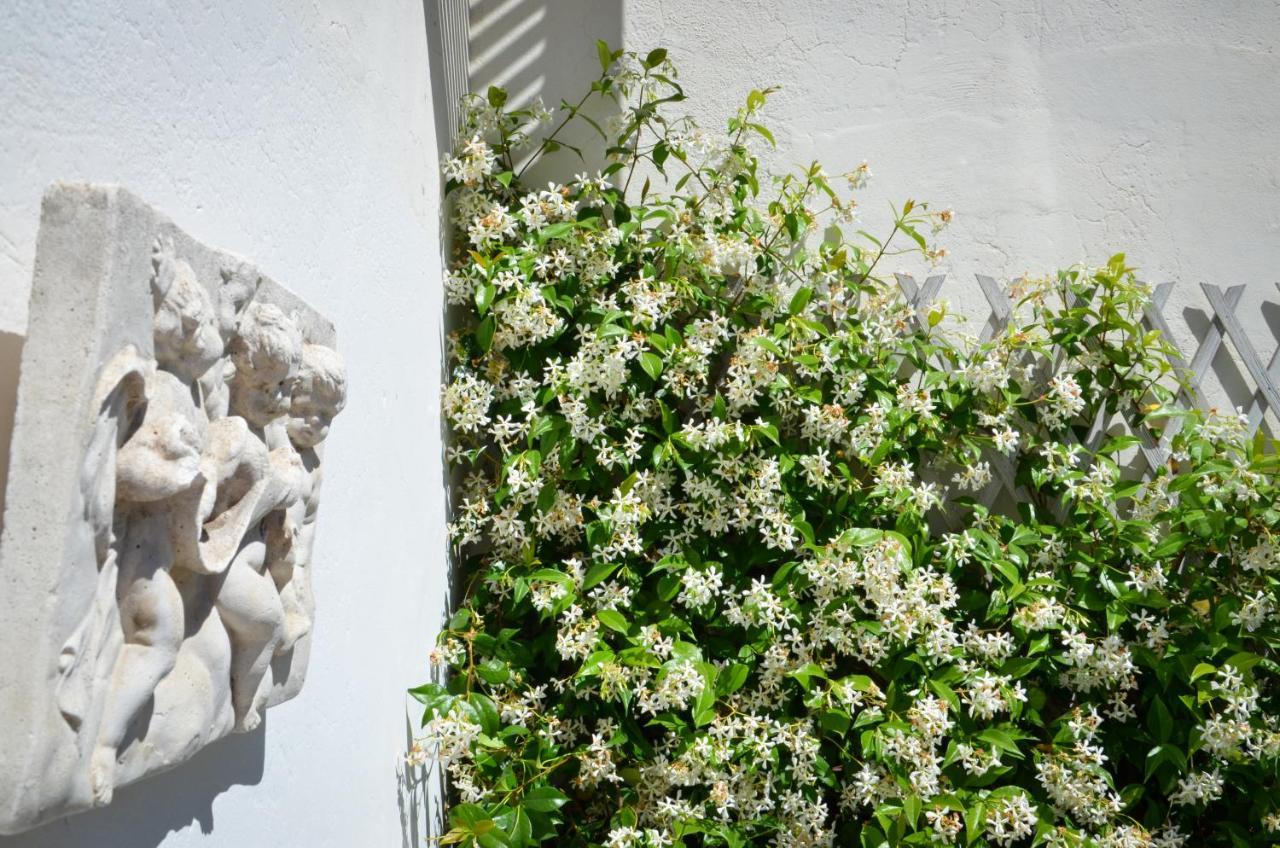 Luxury Apartment Pantheon Ρώμη Εξωτερικό φωτογραφία