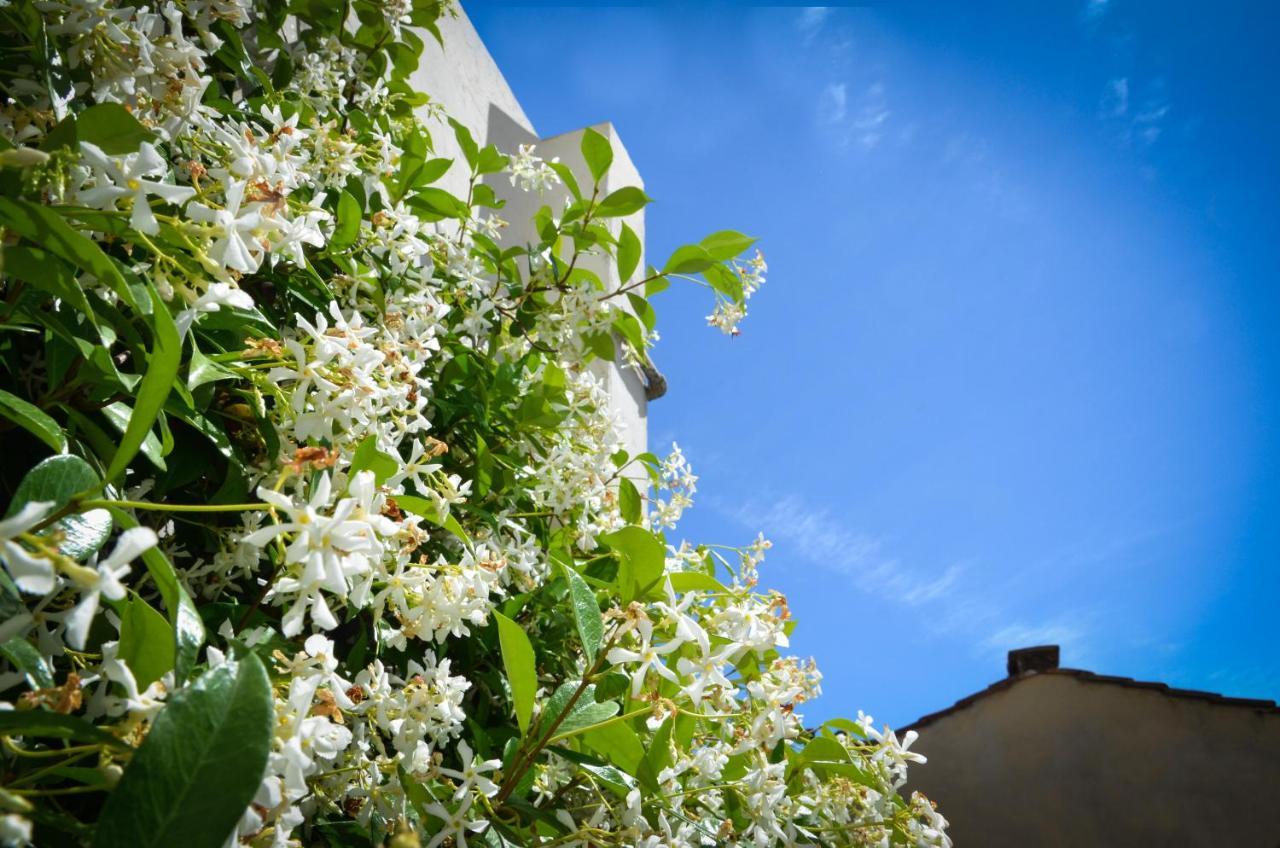 Luxury Apartment Pantheon Ρώμη Εξωτερικό φωτογραφία