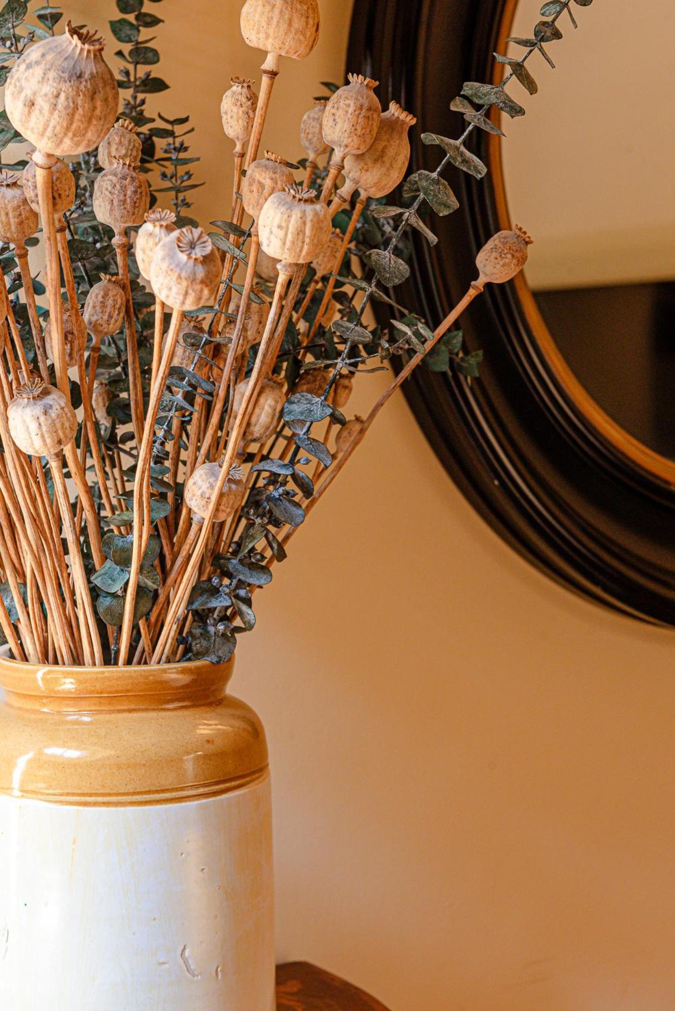 Luxury Apartment Pantheon Ρώμη Εξωτερικό φωτογραφία